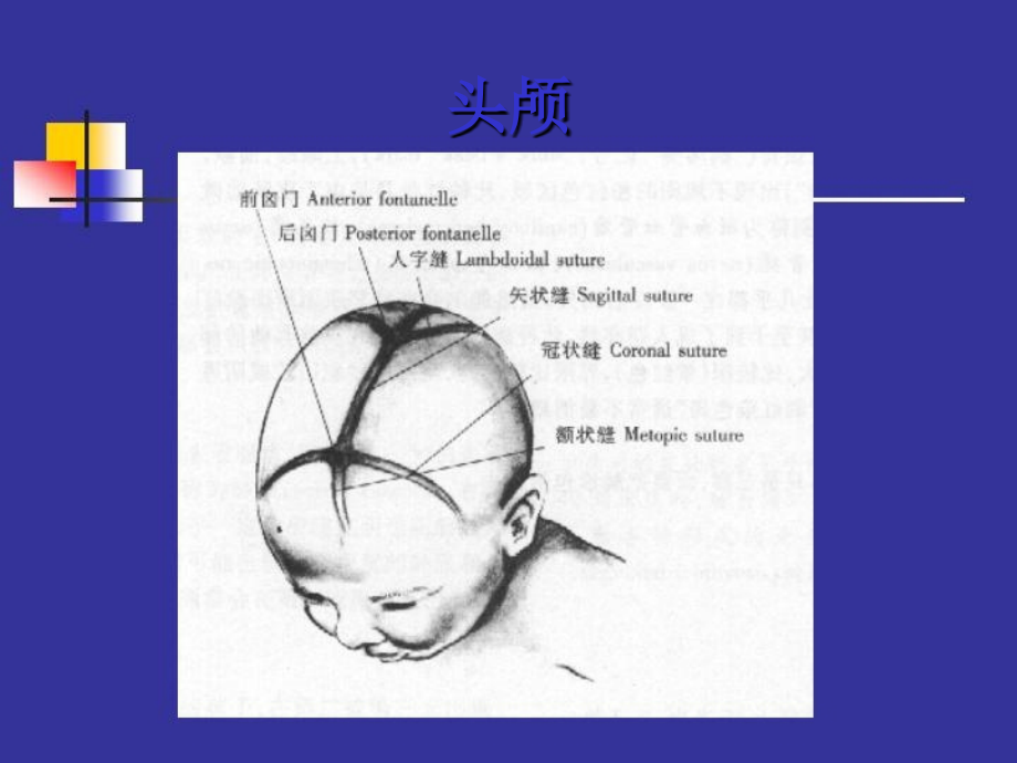 诊断学-头颈检查课件_第4页