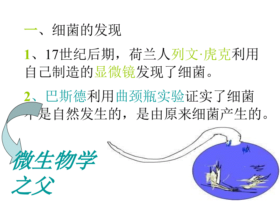 八年级生物细菌幻灯片_第2页