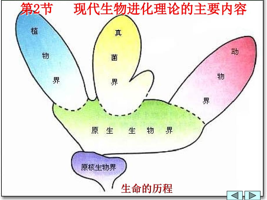 7.2《现代生物进化理论的主要内容》课件+陈丽青_第1页