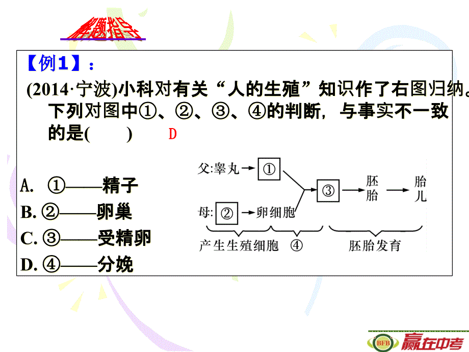 人类和动物的生殖和发育课件_第3页