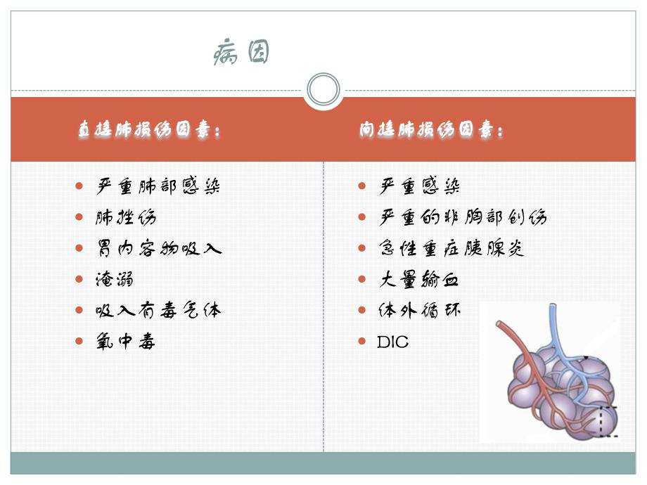 急性呼吸窘迫综合症ardsx课件_第3页