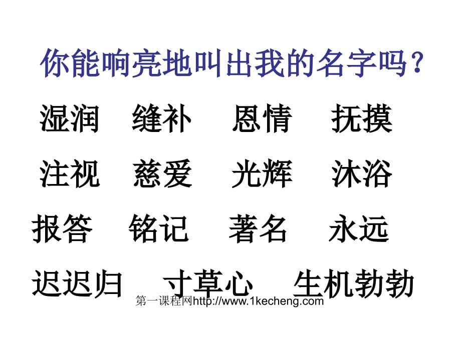 9、母亲的恩情（2课时）-小学语文二年级下册(第四册)第四单元备课_第5页