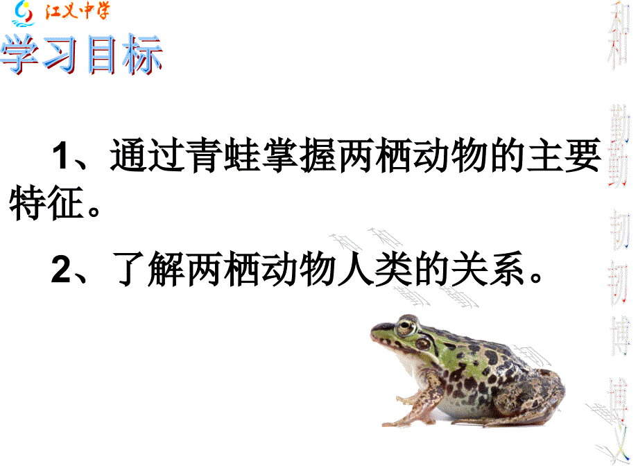 eykaaa第五节两栖动物和爬行动物1.ppt_第2页