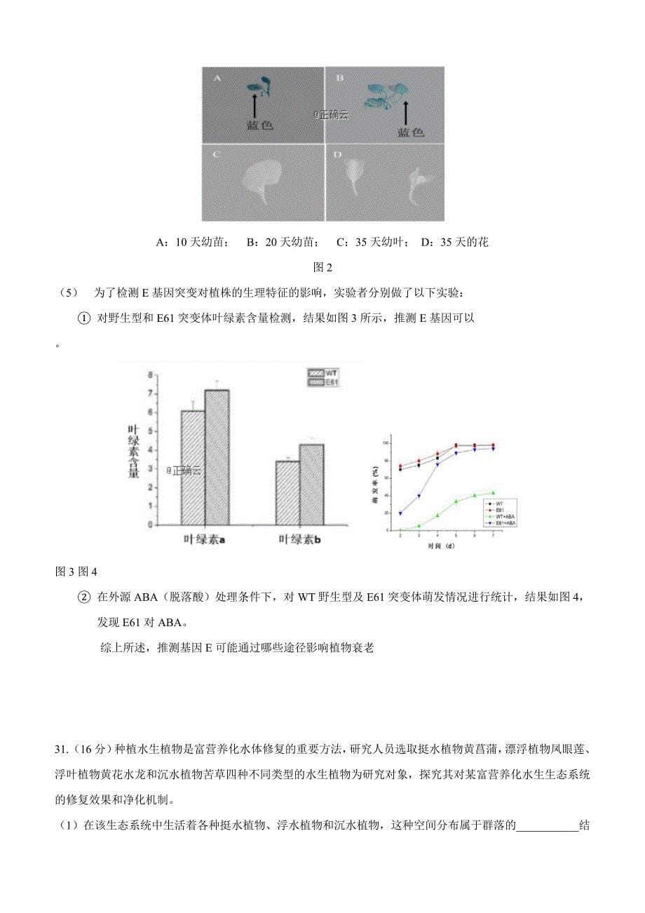 北京市门头沟区2019届高三3月综合练习（一模）生物试卷（附答案）_第5页