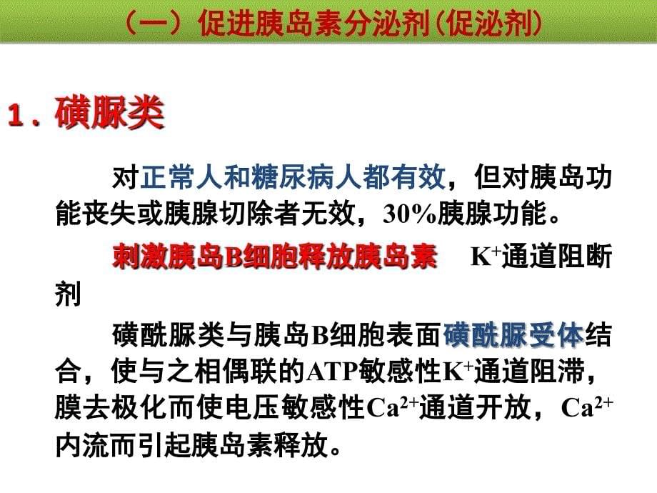 2010年山东省执业药师继续教育辅导材料-糖尿病的药物治疗课件_第5页