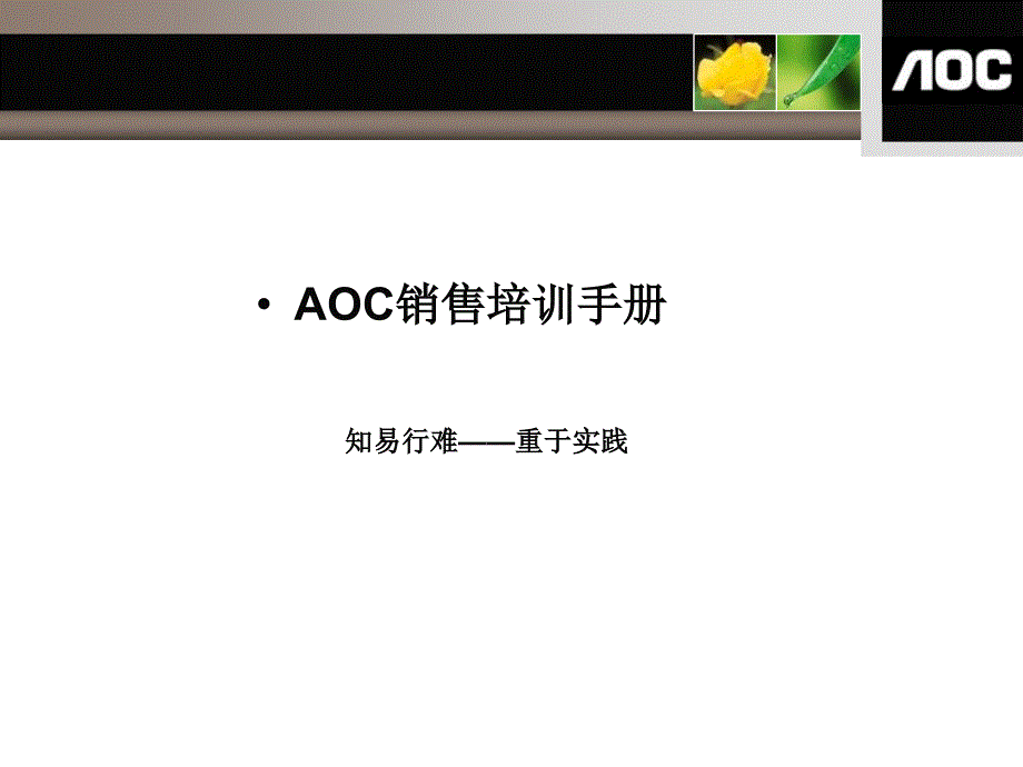 aoc培训手册02(产品概述)_第1页