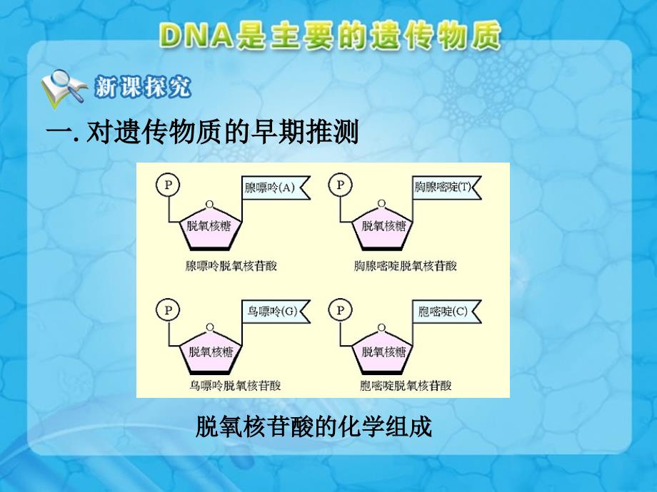 《dna是主要的遗传物质》参考幻灯片1_第4页