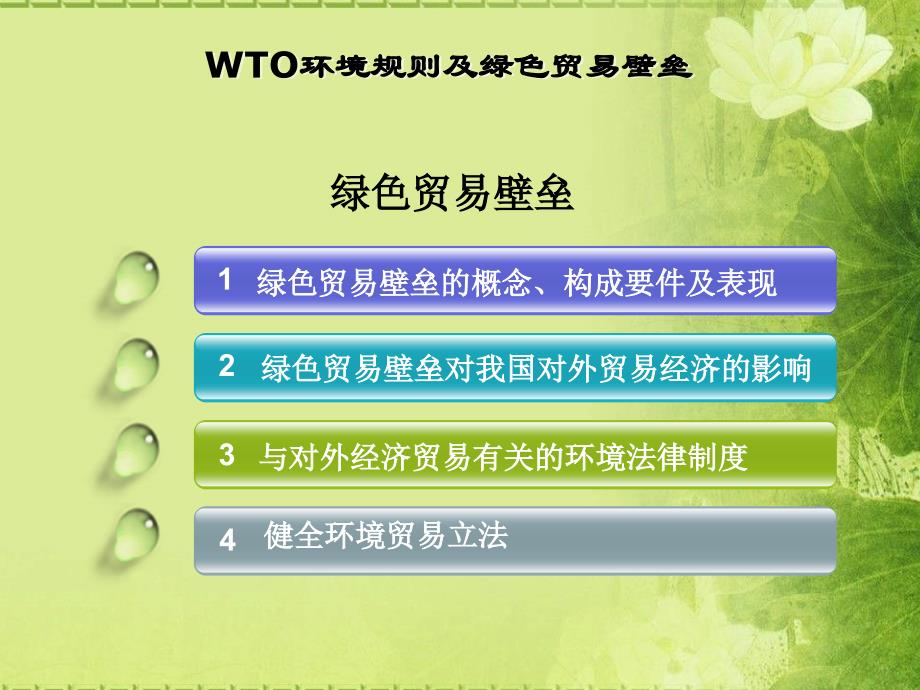 wto环境规则及绿色贸易壁垒_第3页
