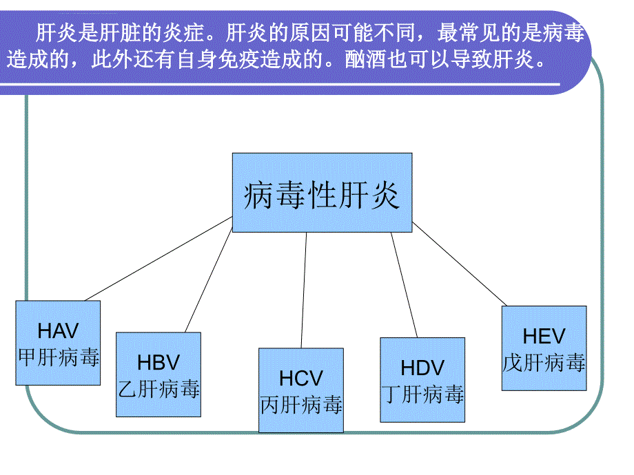 乙肝健康宣传课件_第3页