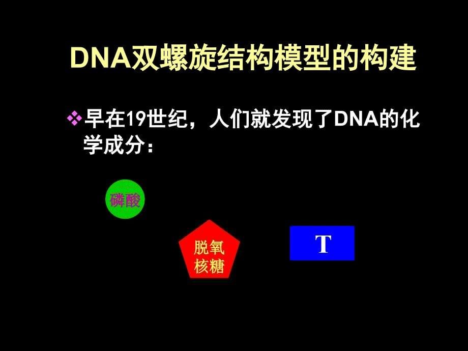 dna的基本单位－脱氧核苷酸脱氧核糖含氮碱基磷酸腺嘌呤鸟嘌呤a_第5页
