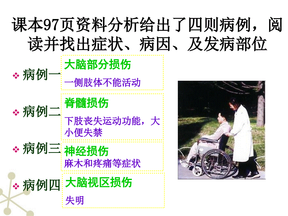 非常好七年级生物下册-神经系统的组成幻灯片-人教新课标版讲诉_第3页