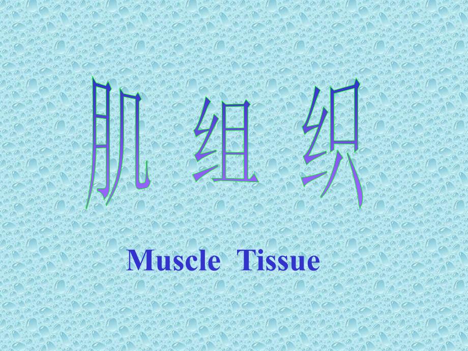 muscle tissue 平滑肌分离标本平滑肌纵切平滑肌横切平滑肌电镜照片 b...b_第1页