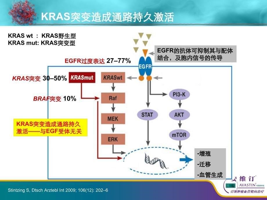 pt(简)-安维汀：唯一治疗mcrc疗效不受kras状态影响的靶向药物.ppt_第5页