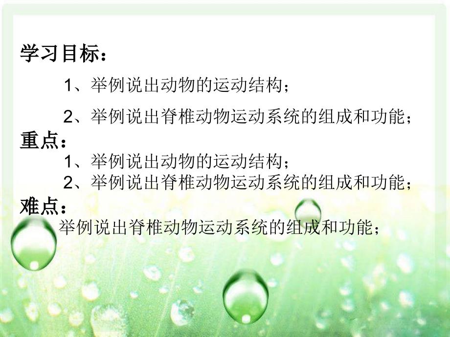 《动物的运动依赖于一定的结构》ppt幻灯片_第4页