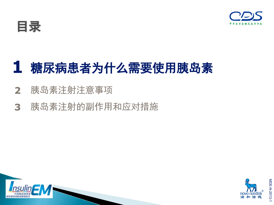中国糖尿病患者胰岛素使用教育管理规范[1]课件_第2页