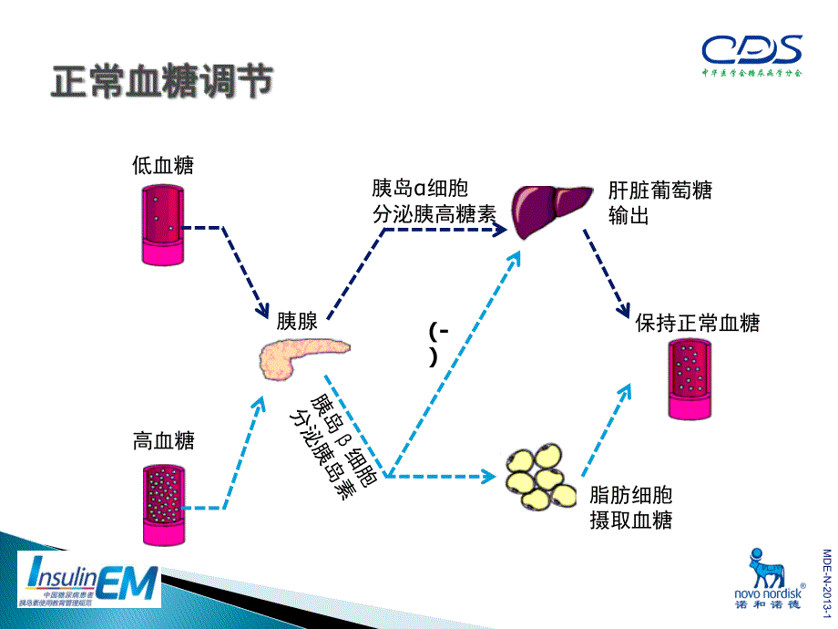 中国糖尿病患者胰岛素使用教育管理规范[1]课件_第3页