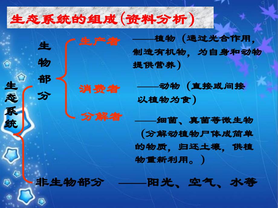 jccaaa生物圈是最大的生态系统.ppt_第4页