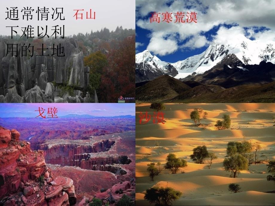 人教版地理八上《土地资源》ppt幻灯片-2_第5页