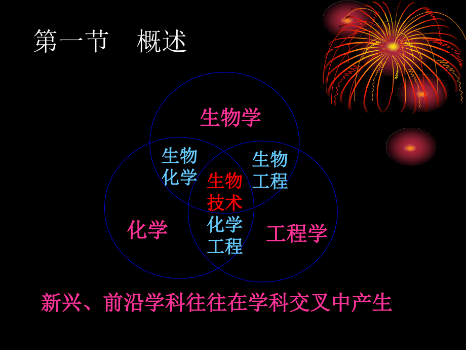 7.8生物技术制药-酶工程.ppt_第2页