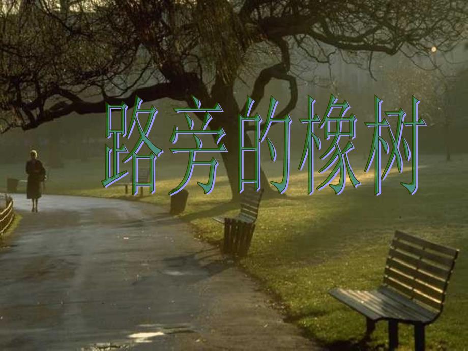 fnmaaa人教版三年级语文下册《路旁的橡树》课件ppt.ppt_第1页