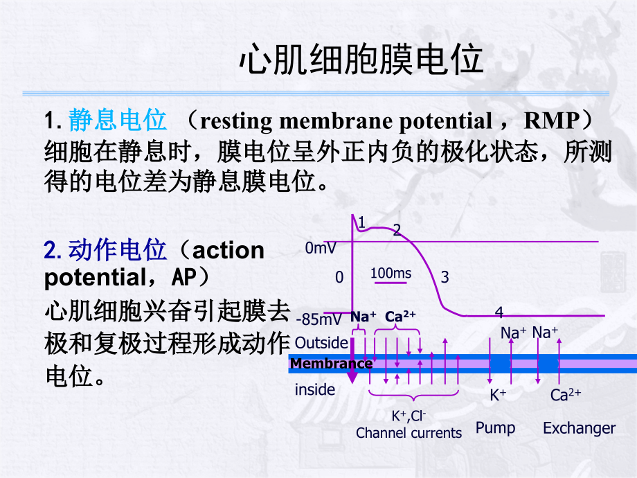 心律失常基础课件_第4页