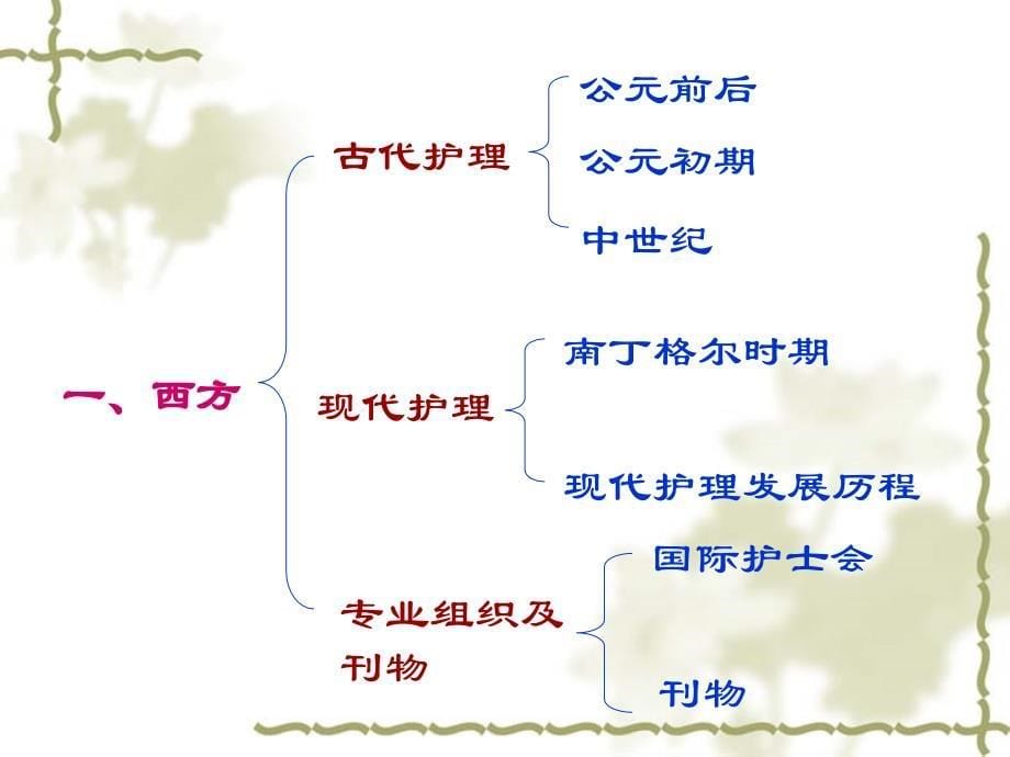 护理学的发展及基本概念课件_第5页