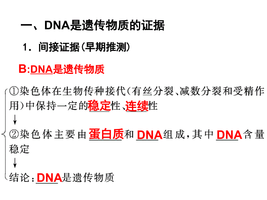 dna是主要的遗传物质(高三复习幻灯片)_第3页