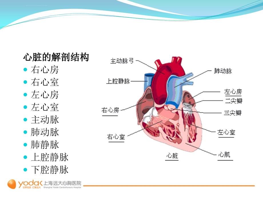 心脏搭桥手术2-上海远大心胸医院课件_第3页