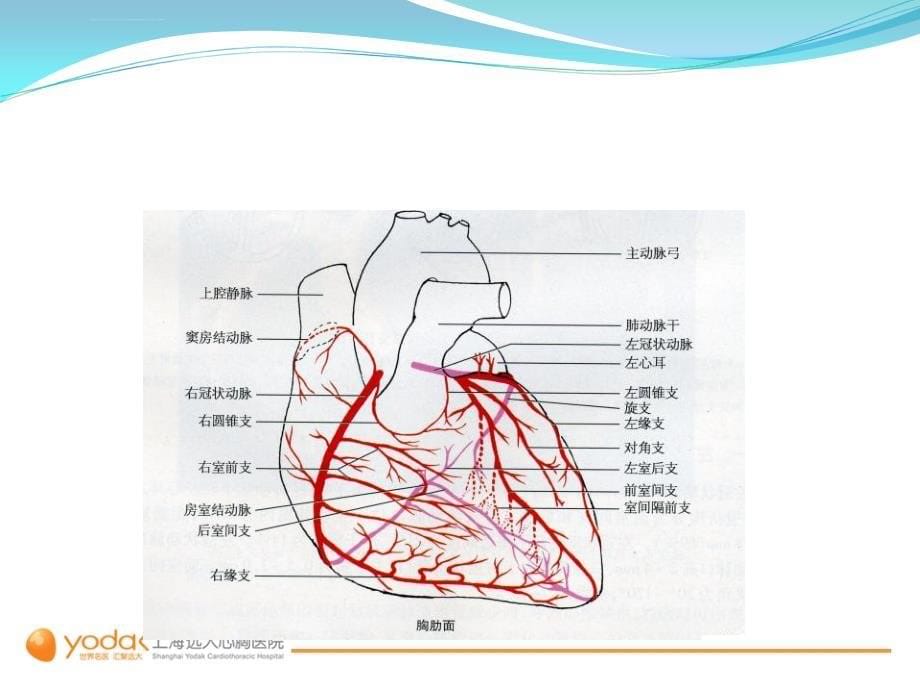 心脏搭桥手术2-上海远大心胸医院课件_第5页