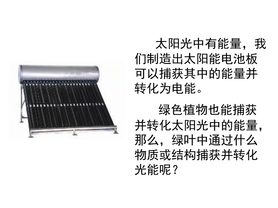 能量之源光与光合作用ppt幻灯片_第4页