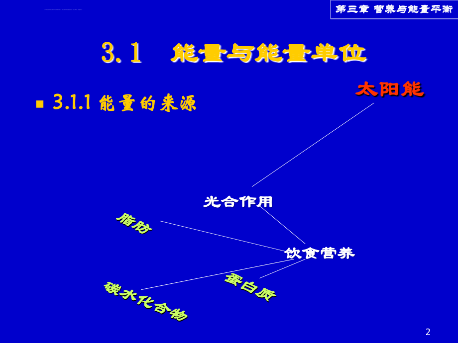 营养与能量平衡1课件_第2页