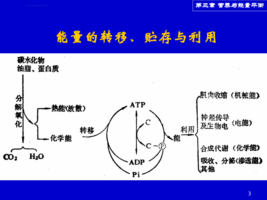 营养与能量平衡1课件_第3页