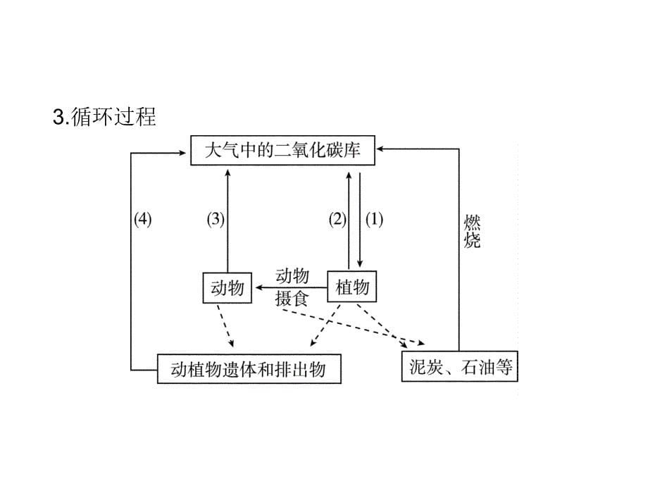 2013-2014学年高中生物幻灯片必修三：第五章-生态系统及其稳定性-5.3生态系统的物质循环_第5页