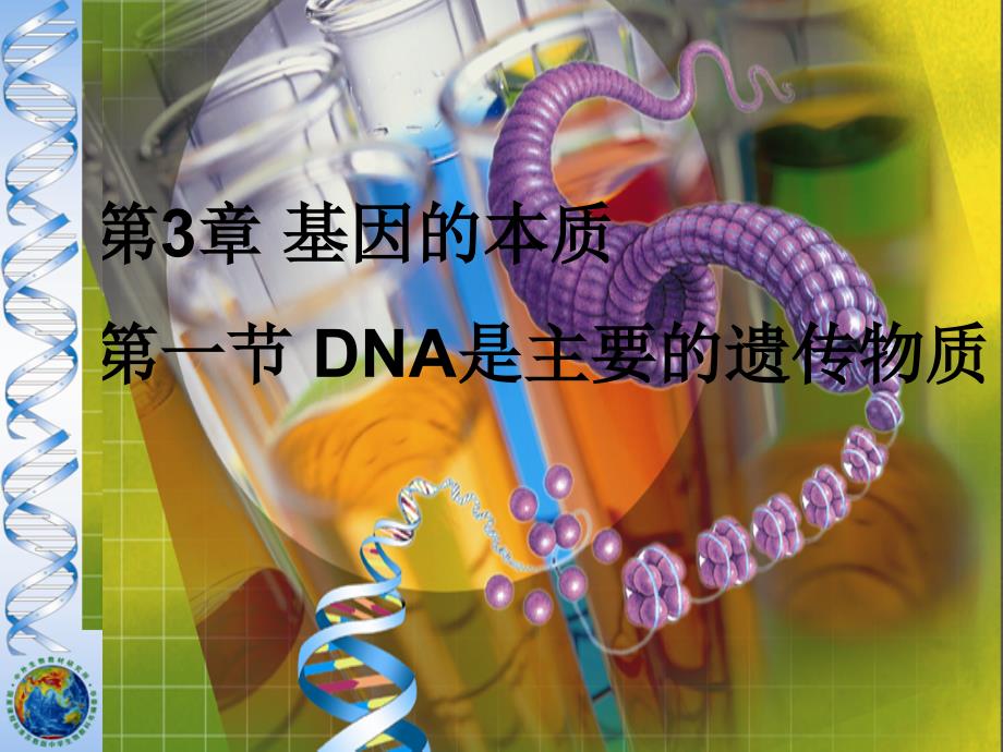 dna是主要的遗传物质幻灯片上课_第1页