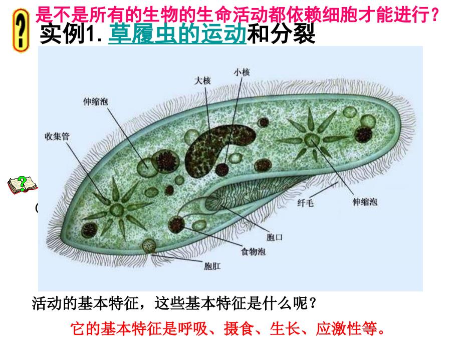 生物高中必修1第一章第一节幻灯片_第4页