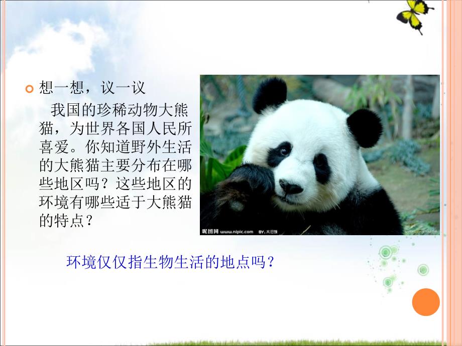 ajyaaa七上第一单元第二章第一节生物与环境的关系（共48张ppt）.ppt_第4页