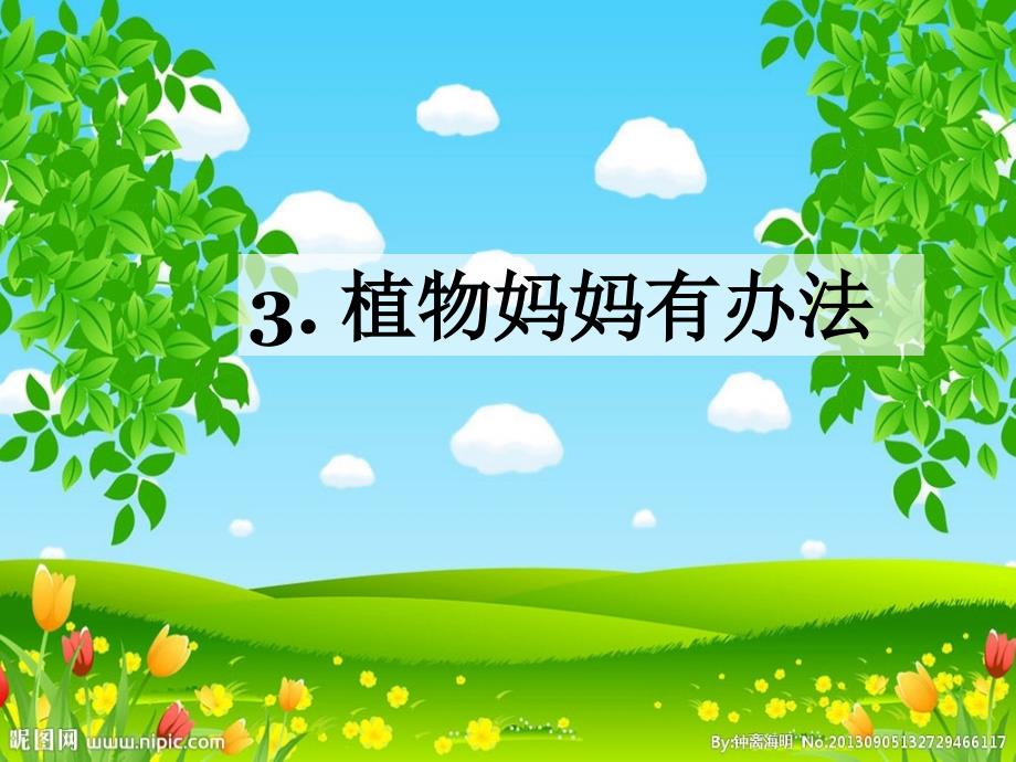 《植物妈妈有办法》幻灯片_第2页