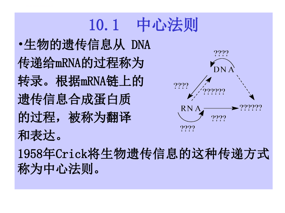 动物生物化学幻灯片-核酸的生物学功能_第2页