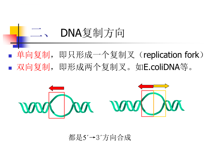 动物生物化学幻灯片-核酸的生物学功能_第4页