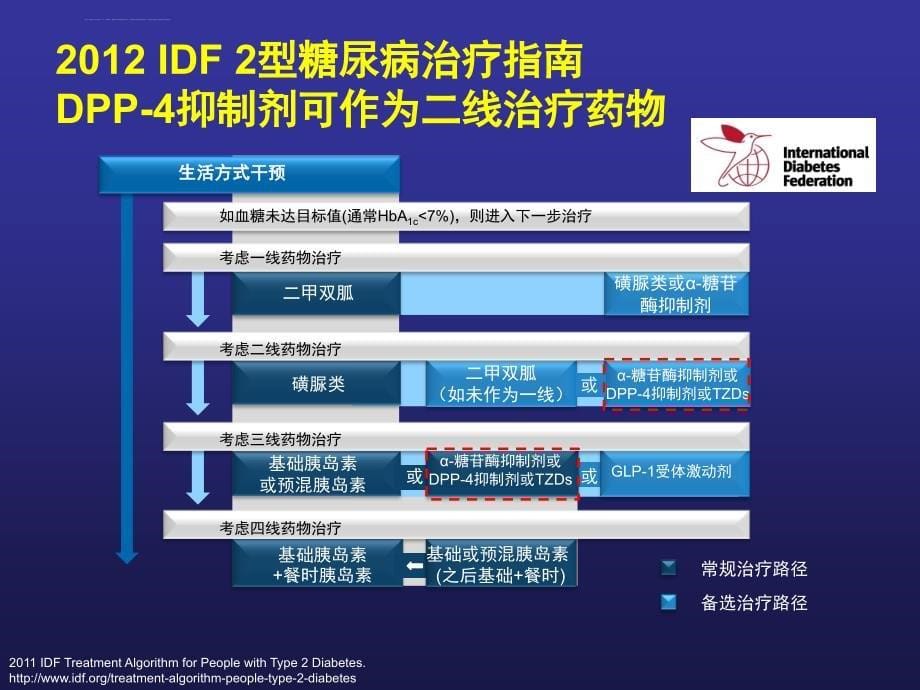 dpp-4抑制剂-从指南到临床课件_第5页