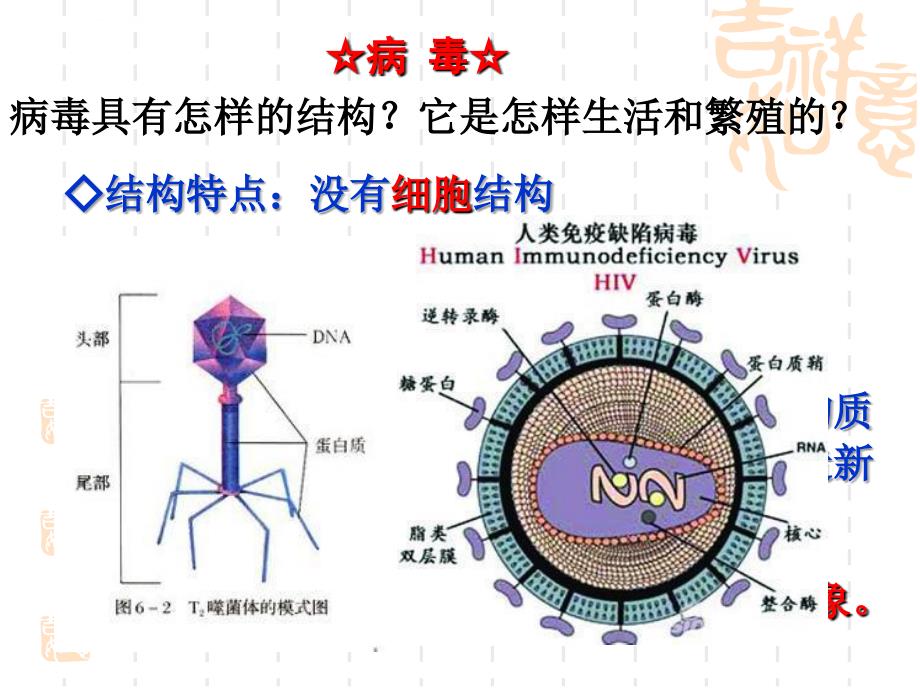 从生物圈到细胞幻灯片_2_第3页