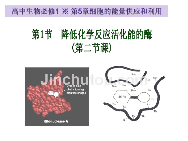 生物必修1课堂教学幻灯片降低化学反应活化能的酶_1_第1页