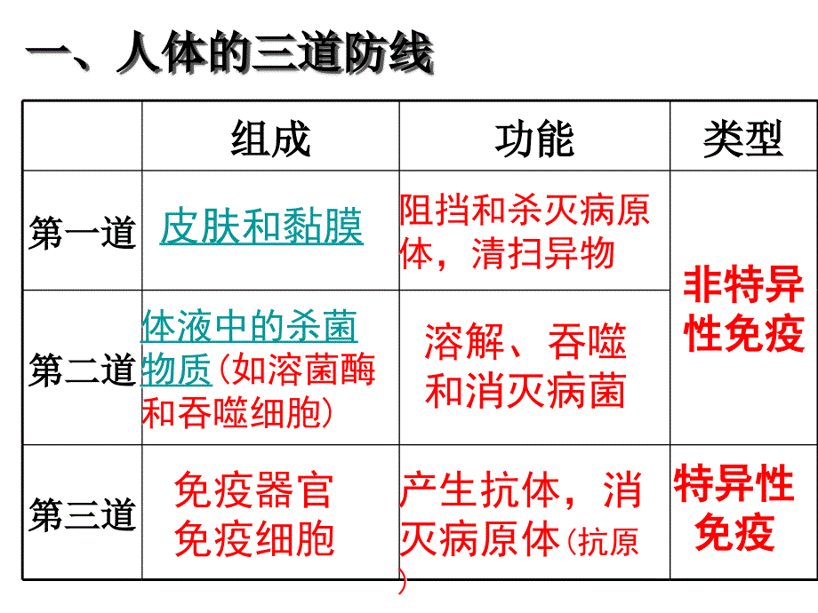 理科班免疫调节幻灯片_第4页