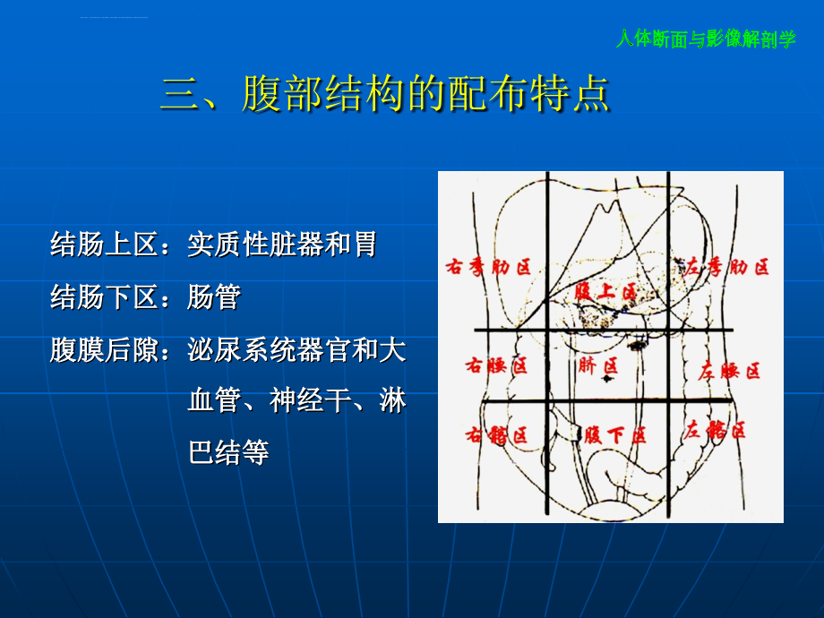 腹部断层解剖及注意点_第2页