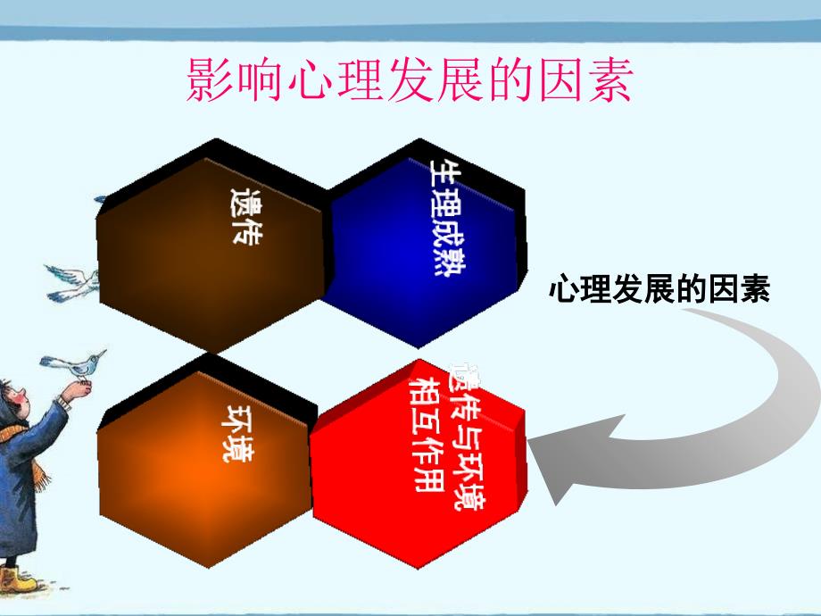 说课幻灯片-影响幼儿心理发展的主要因素_第3页