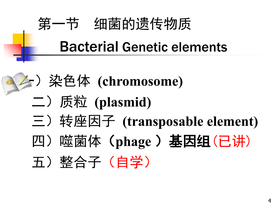 细菌的遗传与变异 (2)课件_第4页