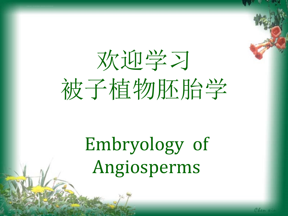 被子植物胚胎学课件_第1页