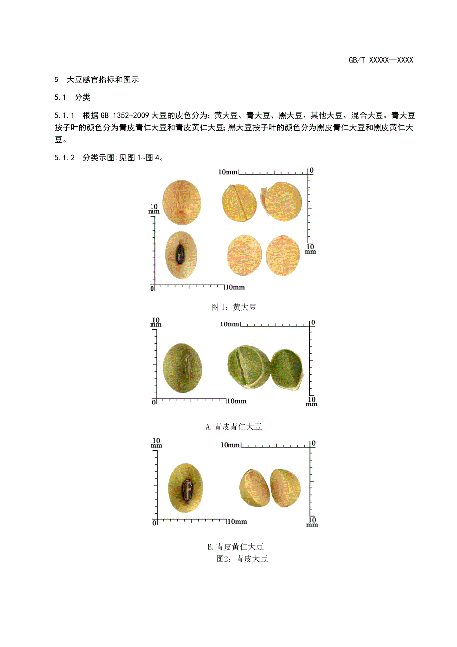 粮油检验粮食感官检验辅助图谱第4部分油料征求意见稿_第4页