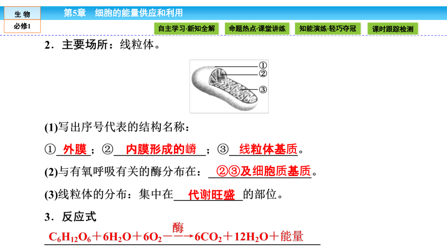 高中生物(人教版)必修1幻灯片：第五章-细胞的能量供应和利用-5.3_第4页