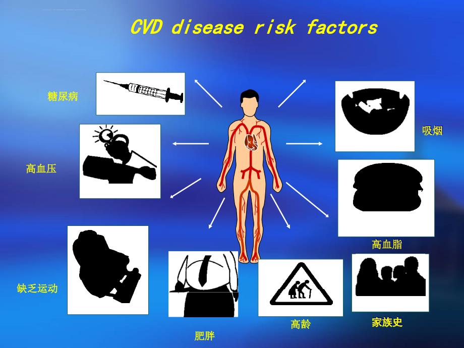 心血管系统概述课件_第3页